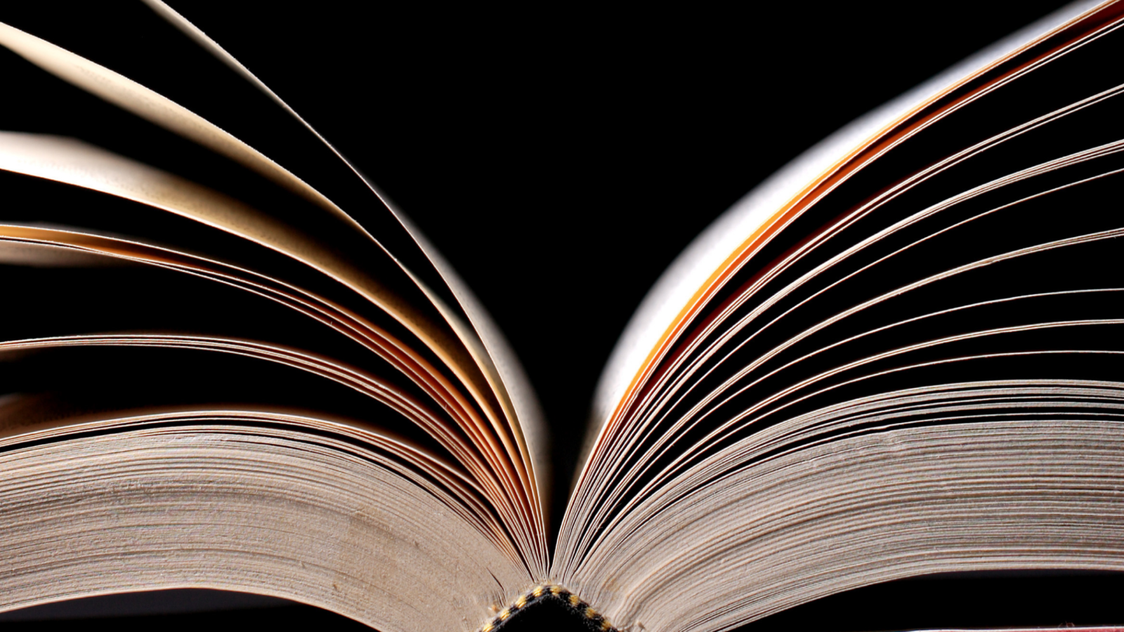 Open pages of a book with curved edges and visible spine against a black background.