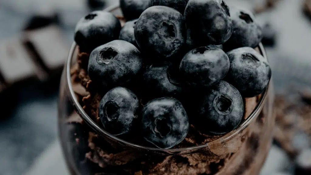 Glass dessert topped with fresh blueberries and chocolate mousse layer.